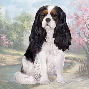 Cavalier King Charles Tri-Color (Sitting) Tabletop Drink Coaster (1) Cavalier King Charles Tri-Color (Sitting) Tabletop Drink Coaster (1)