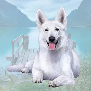 German Shepherd (White) Tabletop Drink Coaster (1) German Shepherd (White) Tabletop Drink Coaster (1)