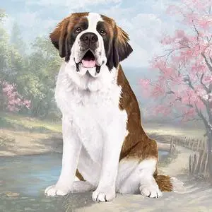 St. Bernard Tabletop Drink Coaster (1) St. Bernard Tabletop Drink Coaster (1)