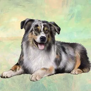 Australian Shepherd Tabletop Drink Coaster (1) Australian Shepherd Tabletop Drink Coaster (1)