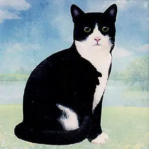 Black & White Cat Tabletop Drink Coaster (1) Black & White Cat Tabletop Drink Coaster (1)