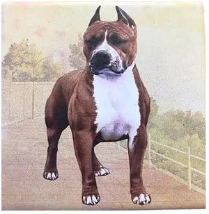 Pit Bull Cropped Ears (Standing) Tabletop Drink Coaster (1) Pit Bull Cropped Ears (Standing) Tabletop Drink Coaster (1)