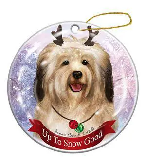Holiday Pet Gifts Cream Havanese Dog Porcelain Christmas Ornament Holiday Pet Gifts Cream Havanese Dog Porcelain Christmas Ornament
