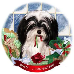 Havanese, Black & White Dog Porcelain Ornament Pet Gift 'Santa.. I Can Explain! Havanese, Black & White Dog Porcelain Ornament Pet Gift 'Santa.. I Can Explain!