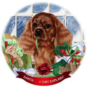 Cavalier King Charles, Ruby Dog Porcelain Ornament 'Santa.. I Can Explain!' Cavalier King Charles, Ruby Dog Porcelain Ornament 'Santa.. I Can Explain!'