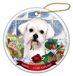 Maltese Dog Porcelain Hanging Ornament Pet Gift 'Santa.. I Can Explain!' Maltese Dog Porcelain Hanging Ornament Pet Gift 'Santa.. I Can Explain!'