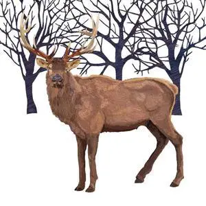 Paperproducts Design 3252941 Winter Elk Beverage Napkin, 5" x 5", Multicolor Paperproducts Design 3252941 Winter Elk Beverage Napkin, 5" x 5", Multicolor