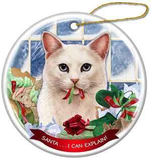 White Shorthaired Blue Eye Cat Porcelain Ornament 'Santa.. I Can Explain! White Shorthaired Blue Eye Cat Porcelain Ornament 'Santa.. I Can Explain!