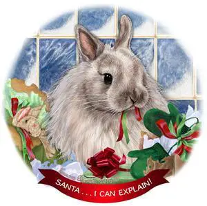 Jersey Wooley Rabbit Porcelain Hanging Ornament Pet Gift 'Santa.. I Can Explain! Jersey Wooley Rabbit Porcelain Hanging Ornament Pet Gift 'Santa.. I Can Explain!