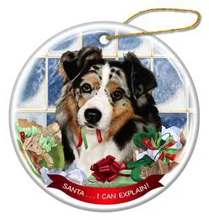 Australian Shepherd Blue Merle Dog Porcelain Hanging Ornament Pet Gift Australian Shepherd Blue Merle Dog Porcelain Hanging Ornament Pet Gift