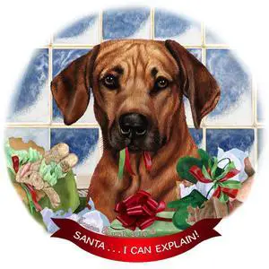 Rhodesian Ridgeback Dog Porcelain Ornament Pet Gift 'Santa.. I Can Explain!' Rhodesian Ridgeback Dog Porcelain Ornament Pet Gift 'Santa.. I Can Explain!'