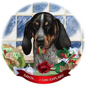 Blue Tick Coonhound Dog Porcelain Ornament Pet Gift Santa I Can Explain! Blue Tick Coonhound Dog Porcelain Ornament Pet Gift Santa I Can Explain!
