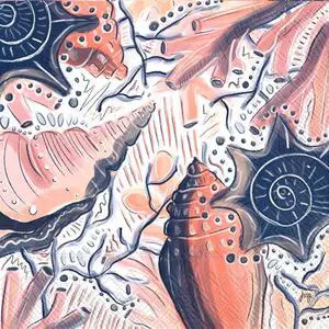 Boston International 6.5 x 6.5 in. Paper Lunch Napkin Abstracted Shells - Pack of 20 Boston International 6.5 x 6.5 in. Paper Lunch Napkin Abstracted Shells - Pack of 20
