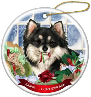 Black White Long Haired Chihuahua Porcelain Ornament Santa. I Can Explain! Black White Long Haired Chihuahua Porcelain Ornament Santa. I Can Explain!