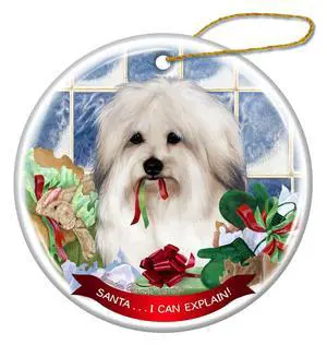 Coton de Tulear Dog Porcelain Hanging Ornament Pet Gift 'I Can Explain!' Coton de Tulear Dog Porcelain Hanging Ornament Pet Gift 'I Can Explain!'