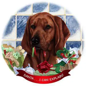 Redbone Coonhound Dog Porcelain Ornament Pet Gift 'Santa.. I Can Explain! Redbone Coonhound Dog Porcelain Ornament Pet Gift 'Santa.. I Can Explain!