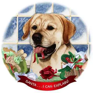 Yellow Labrador Lab Dog Porcelain Ornament Pet Gift 'Santa.. I Can Explain! Yellow Labrador Lab Dog Porcelain Ornament Pet Gift 'Santa.. I Can Explain!