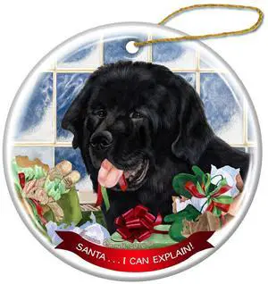Black Newfoundland Dog Porcelain Ornament Pet Gift 'Santa.. I Can Explain!' Black Newfoundland Dog Porcelain Ornament Pet Gift 'Santa.. I Can Explain!'
