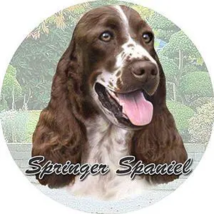ES Pets Absorbent Stoneware Car Cup Holder Coaster, Springer Spaniel ES Pets Absorbent Stoneware Car Cup Holder Coaster, Springer Spaniel