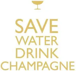 Paperproducts Design 20-Pack Drink Champagne! Paper Cocktail Napkins Paperproducts Design 20-Pack Drink Champagne! Paper Cocktail Napkins