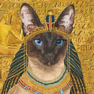 Paperproducts Design Set of 20 Paper Cocktail Napkins Cleopatra Siamese Cat Paperproducts Design Set of 20 Paper Cocktail Napkins Cleopatra Siamese Cat