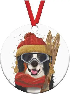 PaperProducts Design FAB Funky Skiing Noah Bernese Dog Porcelain Ornament, 3" PaperProducts Design FAB Funky Skiing Noah Bernese Dog Porcelain Ornament, 3"