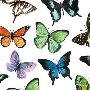 PAPER PRODUCTS DESIGN Mariposa Butterflies Beverage Napkin, 20 CT PAPER PRODUCTS DESIGN Mariposa Butterflies Beverage Napkin, 20 CT