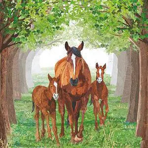 Paperproducts Design Timberland Horse Beverage Napkin, 5" x 5", Pkg. of 20 Paperproducts Design Timberland Horse Beverage Napkin, 5" x 5", Pkg. of 20