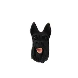Conversation Concepts Scottish Terrier Earrings Post Conversation Concepts Scottish Terrier Earrings Post