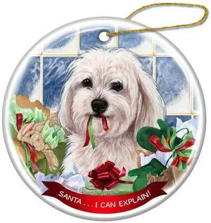 White Havanese Dog Porcelain Hanging Ornament Pet Gift 'Santa.. I Can Explain!' White Havanese Dog Porcelain Hanging Ornament Pet Gift 'Santa.. I Can Explain!'