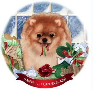 Fawn Pomeranian Dog Porcelain Hanging Ornament Pet Gift 'Santa.. I Can Explain!' Fawn Pomeranian Dog Porcelain Hanging Ornament Pet Gift 'Santa.. I Can Explain!'
