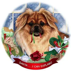 Fawn Tibetan Spaniel Dog Porcelain Ornament Pet Gift 'Santa.. I Can Explain!' Fawn Tibetan Spaniel Dog Porcelain Ornament Pet Gift 'Santa.. I Can Explain!'