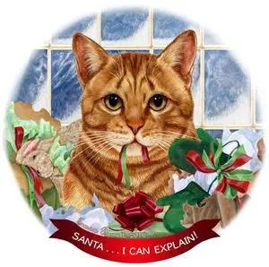 Orange Tabby Cat Porcelain Hanging Ornament Pet Gift 'Santa.. I Can Explain! Orange Tabby Cat Porcelain Hanging Ornament Pet Gift 'Santa.. I Can Explain!