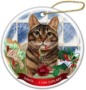 Brown Tabby Cat Porcelain Hanging Ornament Pet Gift 'Santa.. I Can Explain!' Brown Tabby Cat Porcelain Hanging Ornament Pet Gift 'Santa.. I Can Explain!'