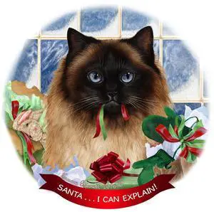 Himalayan Cat Porcelain Hanging Ornament Pet Gift 'Santa.. I Can Explain!' Himalayan Cat Porcelain Hanging Ornament Pet Gift 'Santa.. I Can Explain!'