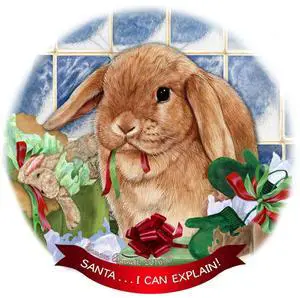 Mini Lop Rabbit Porcelain Hanging Ornament Pet Gift 'Santa.. I Can Explain!' Mini Lop Rabbit Porcelain Hanging Ornament Pet Gift 'Santa.. I Can Explain!'