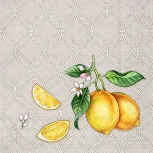 Boston International 5 x 5 in. Paper Cocktail Napkin Citrons Grey - Pack of 20 Boston International 5 x 5 in. Paper Cocktail Napkin Citrons Grey - Pack of 20