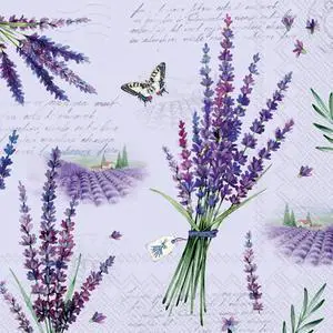 Boston International 5 x 5 in. Paper Cocktail Napkin Viola - Pack of 20 Boston International 5 x 5 in. Paper Cocktail Napkin Viola - Pack of 20