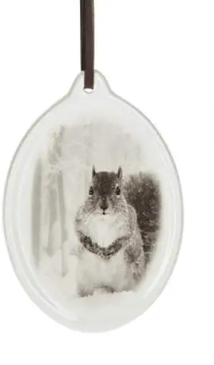 Ganz Squirrel Animal Hanging Christmas/Everyday Ornament, 5" Dolomite Ganz Squirrel Animal Hanging Christmas/Everyday Ornament, 5" Dolomite