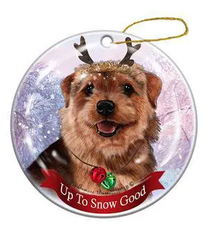 Holiday Pet Gifts Norfolk Terrier Grizzle Dog Porcelain Christmas Ornament Holiday Pet Gifts Norfolk Terrier Grizzle Dog Porcelain Christmas Ornament