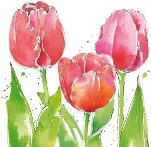 PAPER PRODUCTS DESIGN Pink Tulips Beverage Napkin, 20 CT PAPER PRODUCTS DESIGN Pink Tulips Beverage Napkin, 20 CT