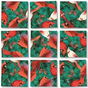 B Dazzle Cardinals Scramble Squares 9 Piece Puzzle B Dazzle Cardinals Scramble Squares 9 Piece Puzzle