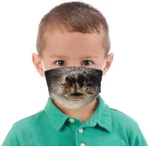 Wildlife Artists Fun Youth Animal Face Masks, Washable, Reusable - Harbor Seal Wildlife Artists Fun Youth Animal Face Masks, Washable, Reusable - Harbor Seal