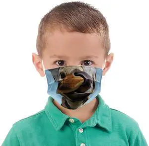 Wildlife Artists Fun Youth Animal Face Masks, Washable, Reusable - Giraffe Wildlife Artists Fun Youth Animal Face Masks, Washable, Reusable - Giraffe