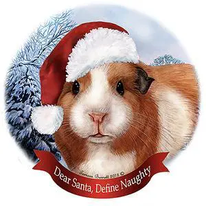 Holiday Pet Gifts American Guinea Pig Santa Hat Porcelain Christmas Ornament Holiday Pet Gifts American Guinea Pig Santa Hat Porcelain Christmas Ornament