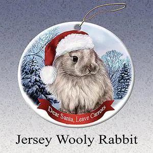 Holiday Pet Gifts Jersey Wooley Rabbit Santa Hat Porcelain Christmas Ornament Holiday Pet Gifts Jersey Wooley Rabbit Santa Hat Porcelain Christmas Ornament