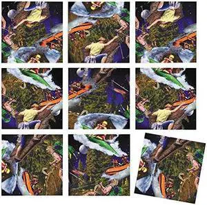 B Dazzle Wilderness Adventure Scramble Squares 9 Piece Puzzle B Dazzle Wilderness Adventure Scramble Squares 9 Piece Puzzle