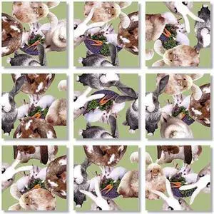 B Dazzle Bunnies Scramble Squares 9 Piece Puzzle B Dazzle Bunnies Scramble Squares 9 Piece Puzzle