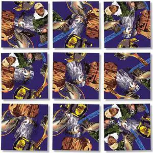 B Dazzle Fly Fishing Scramble Squares 9 Piece Puzzle B Dazzle Fly Fishing Scramble Squares 9 Piece Puzzle
