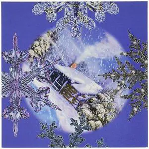 Scramble Squares Puzzle Snowflakes